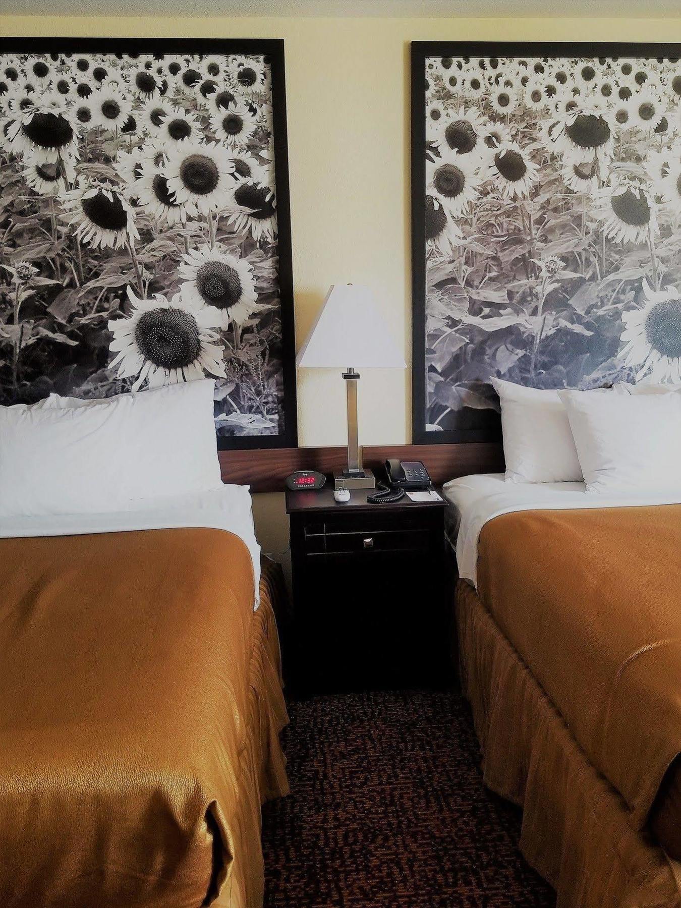 Super 8 By Wyndham Des Moines Hotel Bagian luar foto